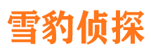 鸡冠市婚外情调查